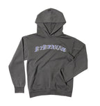 Core Chrome Hoodie